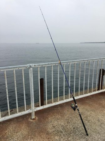 青物狙いのライトショアジギング