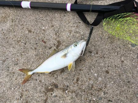 時合でわっしょい