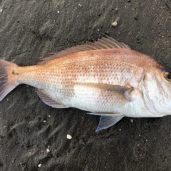 ウェーディング中まさかの…