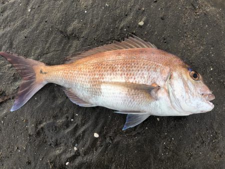 ウェーディング中まさかの…