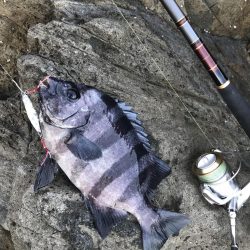 腕がパンパンなんやでぇ…(´ー`;)