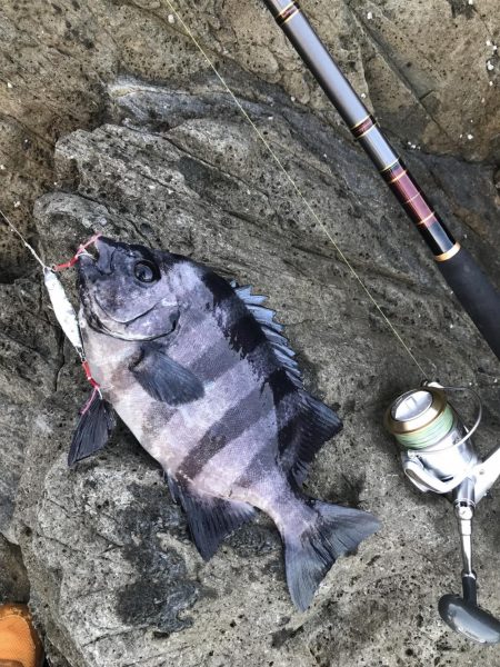 腕がパンパンなんやでぇ…(´ー`;)