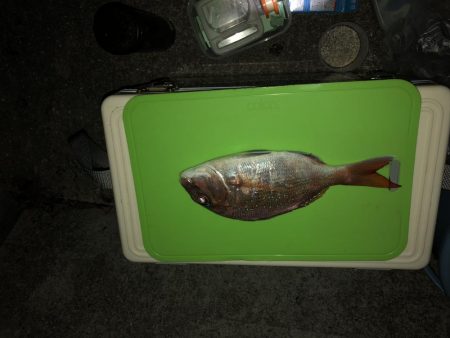 真夏の夜の投げ釣り