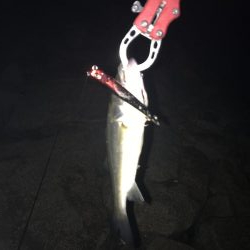 40分間3連続キャッチ