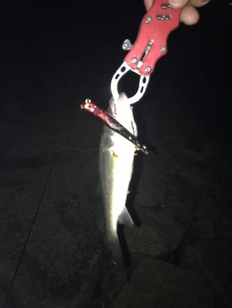 40分間3連続キャッチ