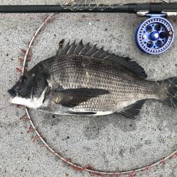 ブンブンスライダー