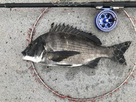 ブンブンスライダー