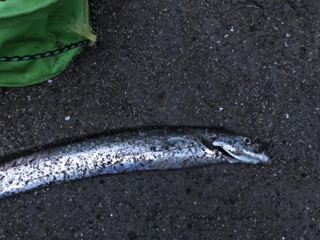 すっげぇ人の数です