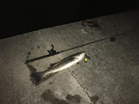 ビックサイズGET！