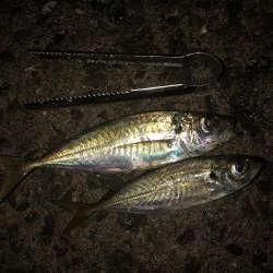 深日のち貝塚人工島