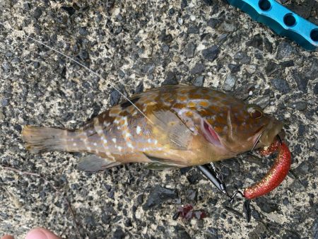 ライトロック〜