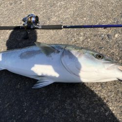 ショアジギング