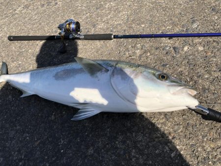 ショアジギング