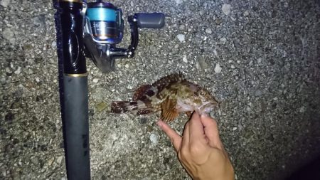 林崎漁港・メバルはお休み？