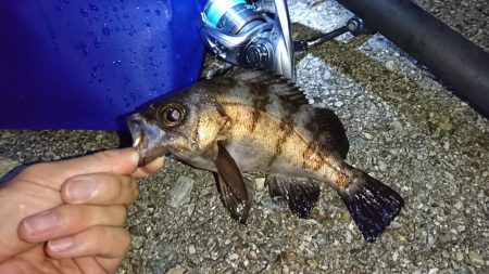 ショアジギで大物が…！？