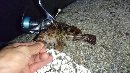 メバリングまだ好調!