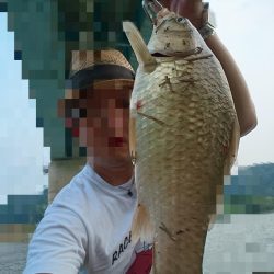 またリバーシーバス