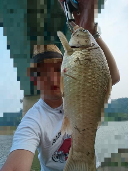 またリバーシーバス