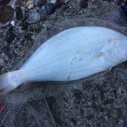 出勤前にちょっとだけよ