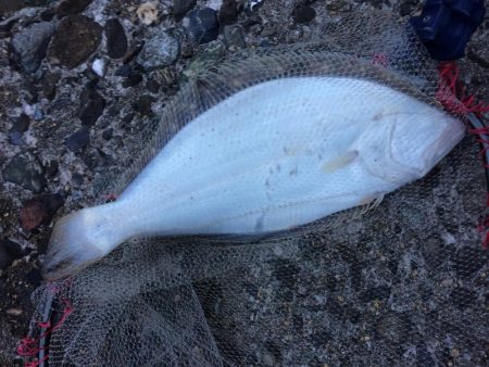 出勤前にちょっとだけよ