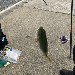 今日は渋かった〜けど