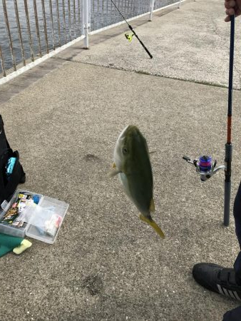 今日は渋かった〜けど