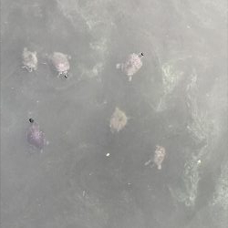 徒歩０分で釣り場