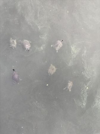 徒歩０分で釣り場