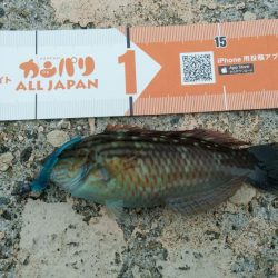 湯浅醤油を買いに行った序でに