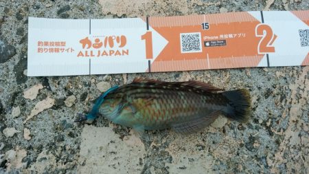 湯浅醤油を買いに行った序でに