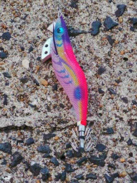 睡魔VSエギング