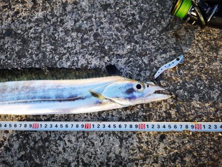 強風でも釣れた