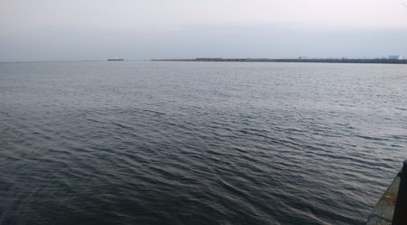 のませツバスは好調