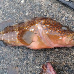 山代温泉旅行の帰りに