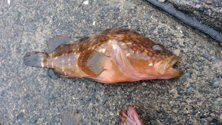 山代温泉旅行の帰りに