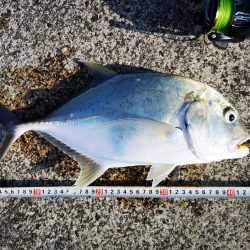 休みだから夕方にもお出掛け