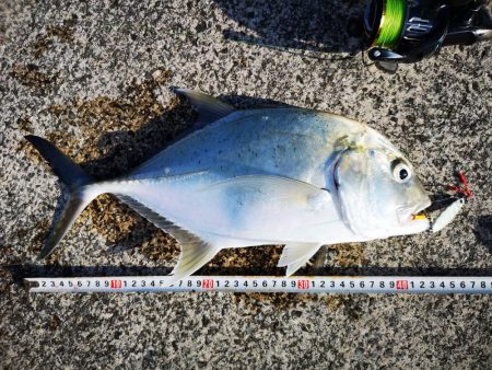 休みだから夕方にもお出掛け