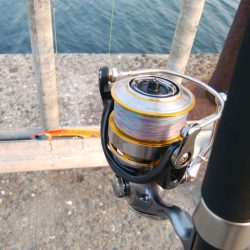 久々にメタルジグでの釣果