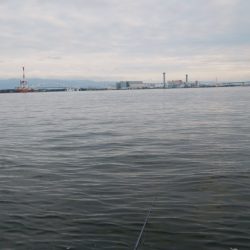 出勤前の短時間釣行