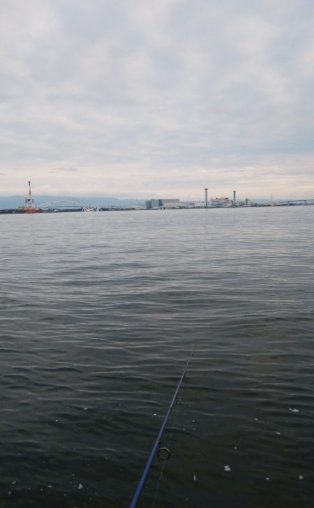 出勤前の短時間釣行