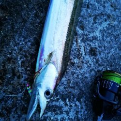 台風明けの強風でもなんとかね