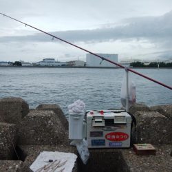 東二見西水道のキス情報