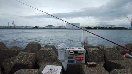 東二見西水道のキス情報