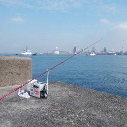 播磨新島のキス情報