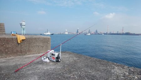 播磨新島のキス情報