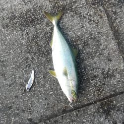 針先チェックは忘れずに！