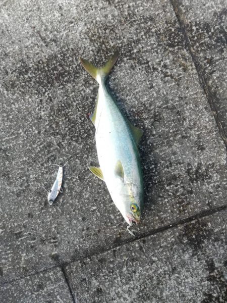 針先チェックは忘れずに！