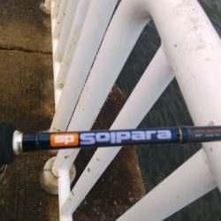 連日ツバッシング