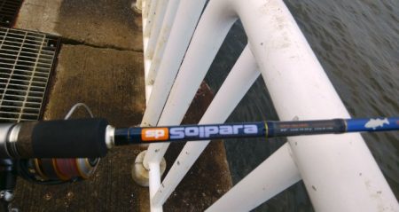 連日ツバッシング