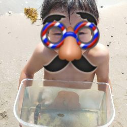 海水浴ついでの釣り